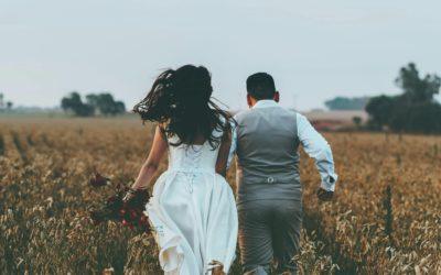 The Big Day: What to Expect